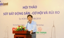 Tiến sĩ Võ Trí Thành: Đừng quá hốt hoảng với bong bóng bất động sản