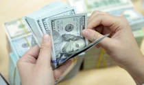 USD lại tăng giá sau 2 ngày hạ nhiệt USD lại tăng giá sau 2 ngày hạ nhiệt