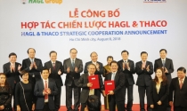 Thaco sẽ rót hàng chục nghìn tỷ vào HAGL