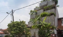 Ngôi nhà phủ cây xanh mướt độc đáo ở Malaysia Ngôi nhà phủ cây xanh mướt độc đáo ở Malaysia