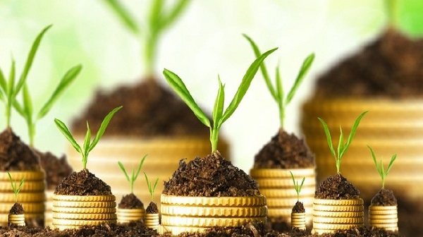 5 Quỹ đầu tư mà người trẻ cần phải biết càng sớm càng tốt: Thu nhập 7 triệu/tháng đầu tư như thế nào?