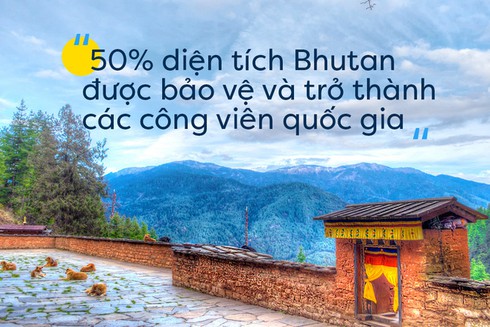 Ghé thăm đất nước được mệnh danh hạnh phúc nhất thế giới nhân ngày quốc tế hạnh phúc