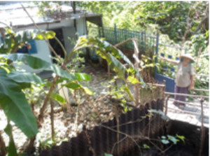 Bà Trần Thị Mười chỉ phần đất và nhà sử dụng hàng chục năm  bị thu hồi trắng