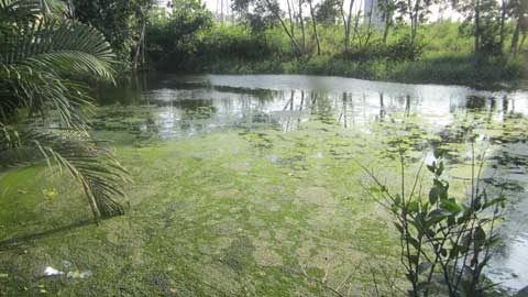 đại gia địa ốc, khu căn hộ Riviera Point, cấp thoát nước, Công ty TNHH đại gia địa ốc, khu căn hộ Riviera Point, cấp thoát nước, Công ty TNHH