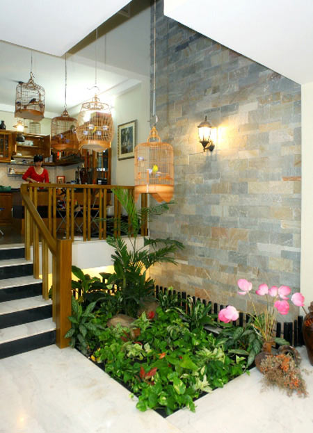 Soi nhà mát quanh năm của Tạ Minh Tâm - 2