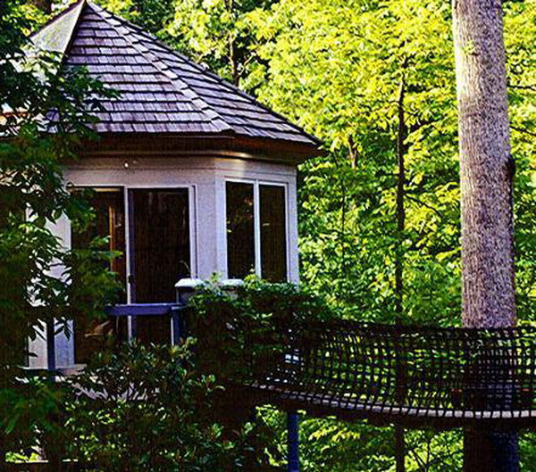 Nhà cây này được nối liền với một cây cầu cáp treo được trang bị đầy đủ tiện nghi mà con người cần như điện, internet, hệ thống âm thanh... Ngôi nhà này có giá 250.000 USD.