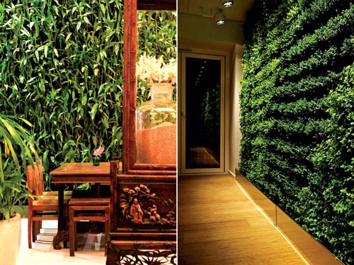 Vườn đứng len lỏi vào nhà Việt - 1