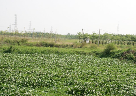 {keywords} {keywords}