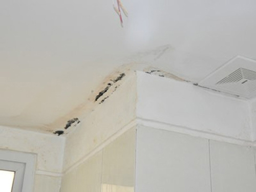 Những nguyên nhân gây thấm trần nhà bê tông - CafeLand.Vn