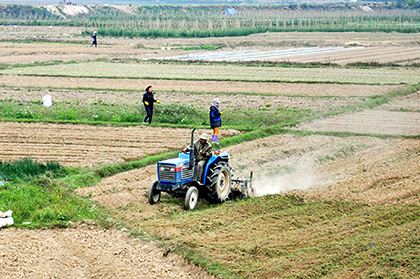 dieu-chinh-quy-hoach-su-dung-dat-tinh-quang-ninh