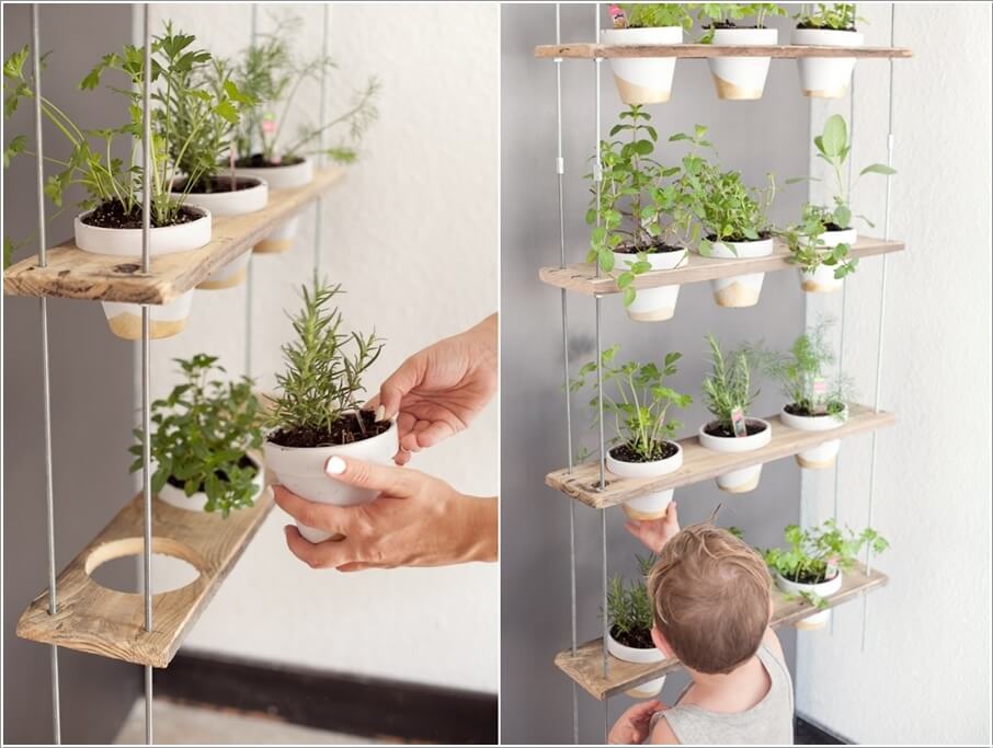 Ý tưởng trồng cây thảo mộc trong nhà