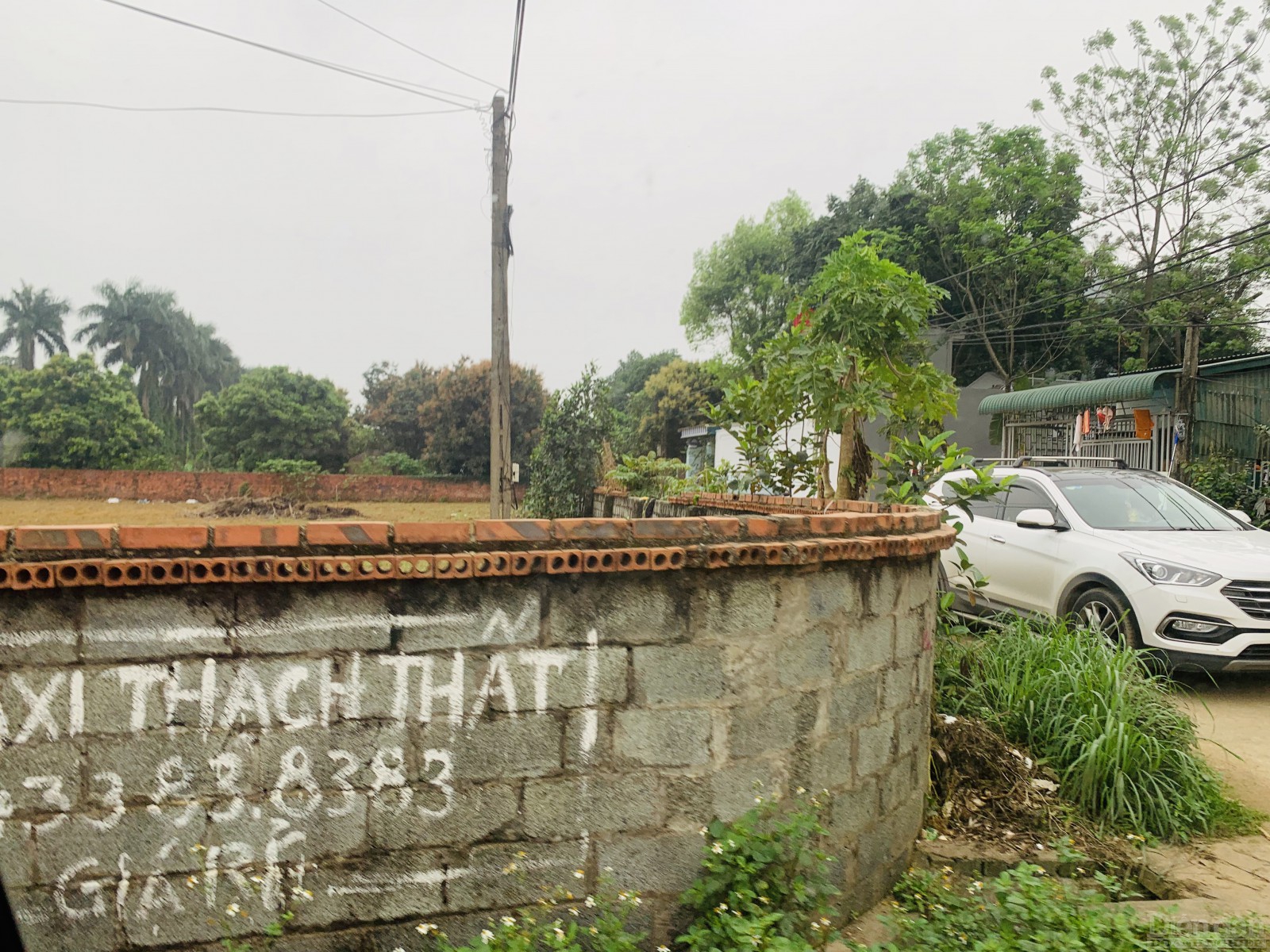Cò đất vào tầm ngắm