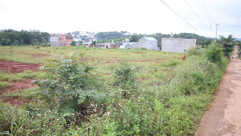 Mua bán đất ven đô và nghìn lẻ chuyện rủi ro