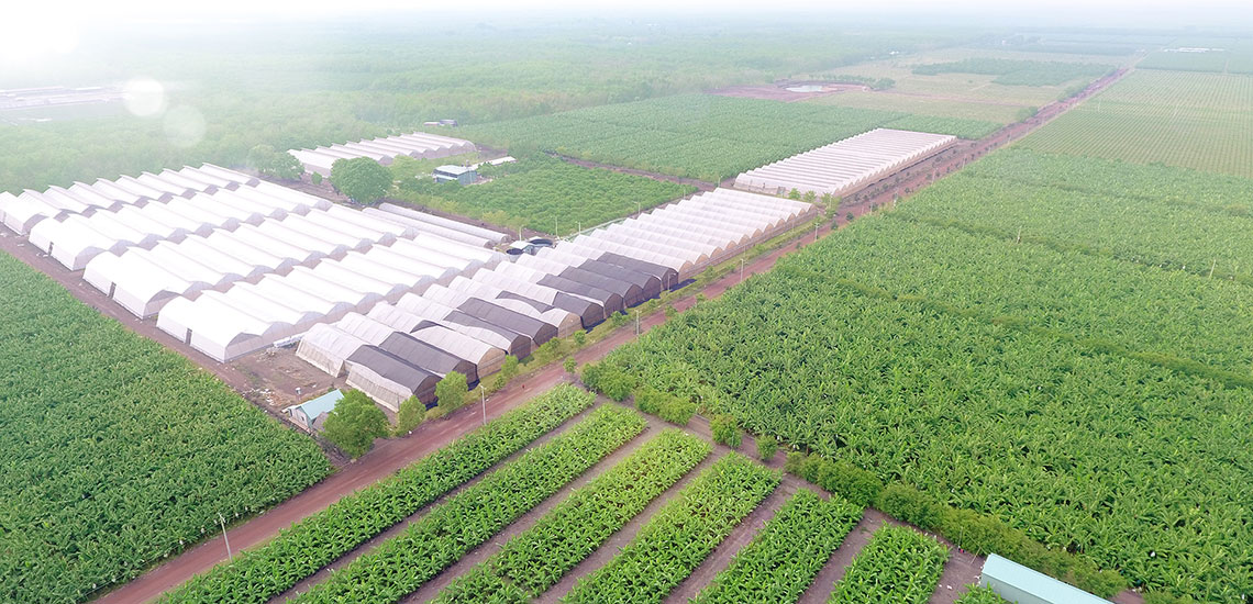 Quảng Ninh sẽ có khu nông nghiệp công nghệ cao 106ha