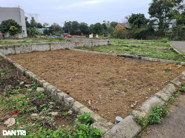 Mối nguy quýt làm cam chịu từ việc phân lô bán nền tràn lan ở ven đô Mối nguy quýt làm cam chịu từ việc phân lô bán nền tràn lan ở ven đô