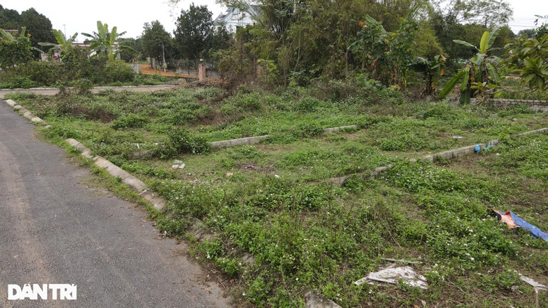 Mối nguy quýt làm cam chịu từ việc phân lô bán nền tràn lan ở ven đô Mối nguy quýt làm cam chịu từ việc phân lô bán nền tràn lan ở ven đô