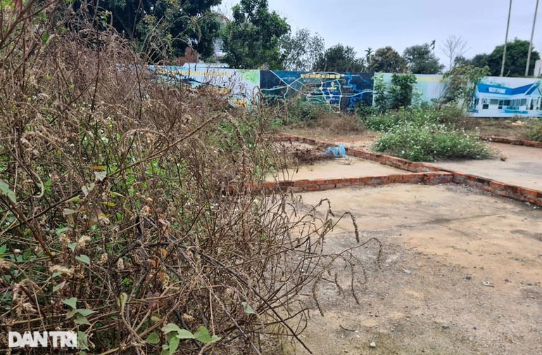 Mối nguy quýt làm cam chịu từ việc phân lô bán nền tràn lan ở ven đô Mối nguy quýt làm cam chịu từ việc phân lô bán nền tràn lan ở ven đô