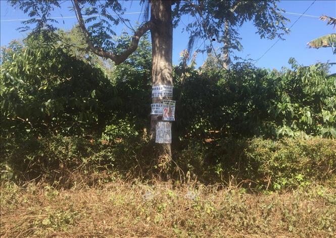 Lực cản Covid-19 không 'níu' được đà tăng của bất động sản Lực cản Covid-19 không 'níu' được đà tăng của bất động sản