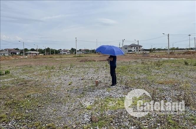 Hy hữu một cuộc đấu giá có đến 90% số lô đất bị bỏ cọc Hy hữu một cuộc đấu giá có đến 90% số lô đất bị bỏ cọc