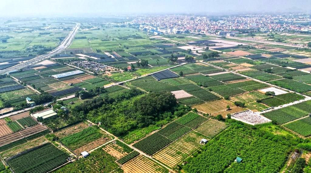 Hưng Yên sắp đấu giá 102 lô đất: Cơ hội sở hữu đất nền giá từ 11 triệu đồng/m²- Ảnh 1.