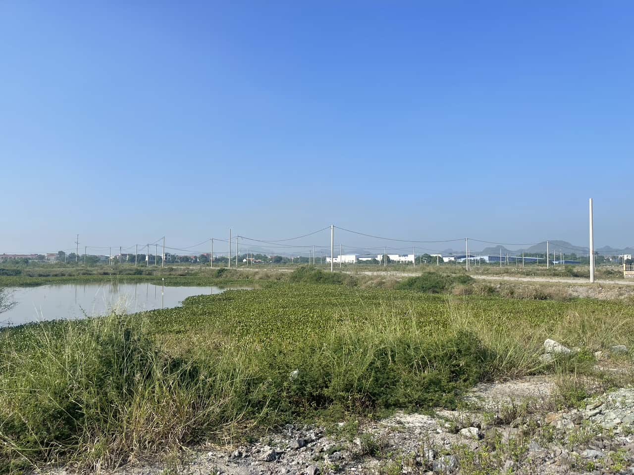 Ninh Bình mở đấu giá hơn 100 lô đất: Cơ hội đầu tư với giá từ 4,8 triệu đồng/m²- Ảnh 1.