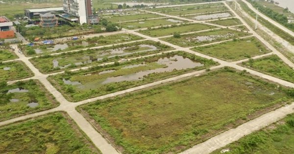 Ninh Bình “trảm” 11 dự án chậm tiến độ, thu hồi hơn 216 ha đất- Ảnh 1.