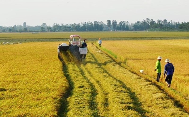 Đề xuất miễn thuế đất nông nghiệp đến 2030- Ảnh 1.