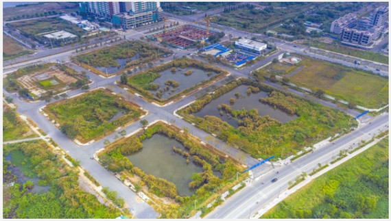 Ninh Bình tung 361 lô đất đấu giá, kỳ vọng thu về nửa nghìn tỷ- Ảnh 1.