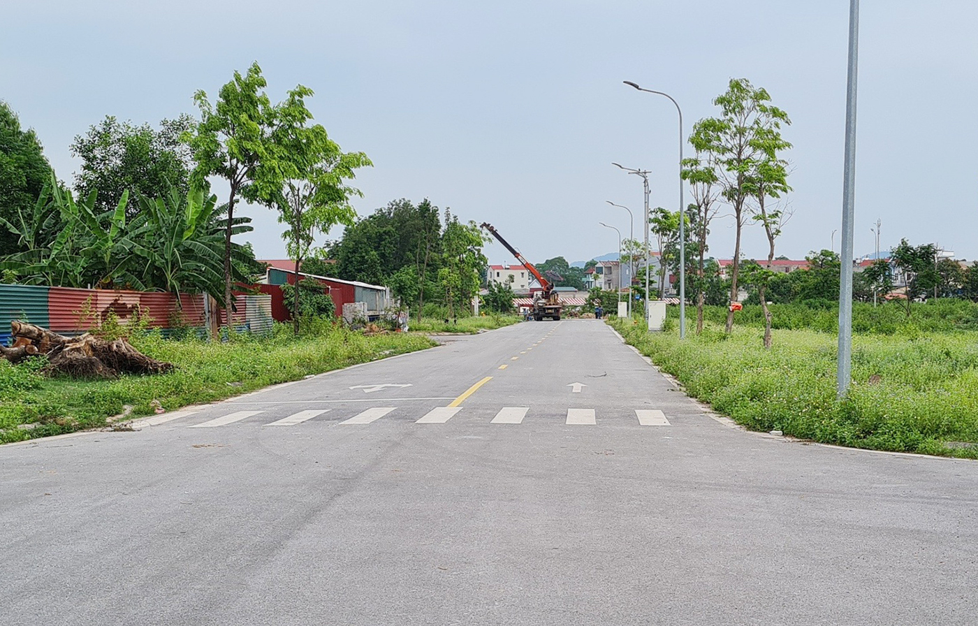 Bắc Giang chuyển đổi hơn 12 ha đất làm đường trục chính khu đô thị Tây Nam- Ảnh 1.