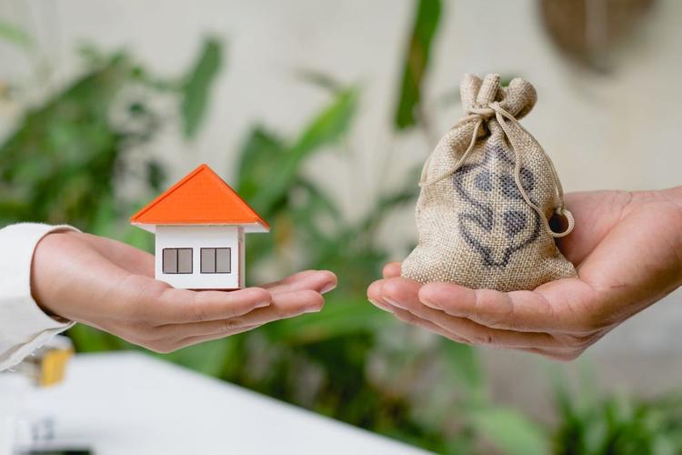 Bất động sản đầu năm 2025: Bức tranh dòng vốn có gì khác lạ?- Ảnh 1.