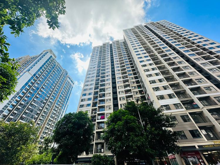 Chung cư Hà Nội vào "guồng": Sóng mở bán lan tỏa, lộ diện độ tuổi khách hàng đang dẫn nhịp- Ảnh 1.