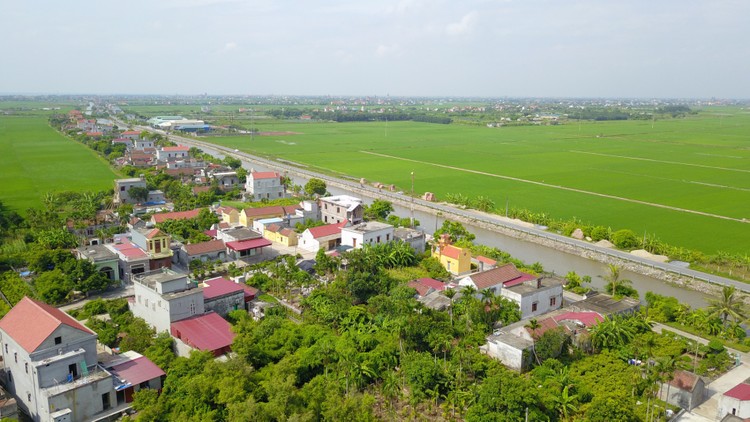 Nam Định sắp đấu giá gần 500 lô đất, giá khởi điểm từ 5 triệu/m2- Ảnh 1.