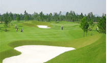 Sân golf trong sân bay: “Không có gì phải lo lắng” 