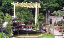Mẹo khắc phục sân vườn thiếu phong thủy