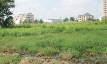 Thường trực HĐND TP Hà Nội giám sát tại huyện Mê Linh: Vướng cơ chế đất dịch vụ