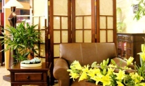 Cắm hoa theo phong thủy trong ngày Tết