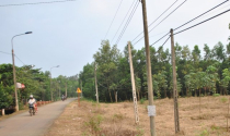 Đất xung quanh dự án sân bay Long Thành đòi tăng giá