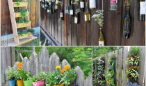 8 ý tưởng độc đáo trang trí cho hàng rào