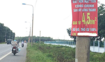“Cò” đất nở rộ xung quanh Dự án sân bay Long Thành, Đồng Nai