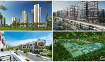 Dự án trong tuần: Mở bán căn hộ Rosa - Ra mắt Diamond Alnata