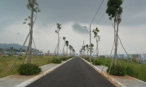 BR-VT chỉ đạo xử lý hàng loạt dự án nhà ở nhiều ‘không’