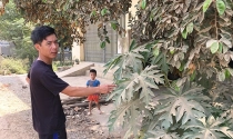 Yên Định (Thanh Hóa): Người dân “hít bụi, ăn đất” từ công trình san lấp mặt bằng