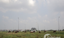 Đủ chiêu gài bẫy người mua đất nền
