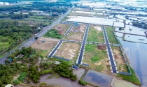 Bà Rịa – Vũng Tàu: Thị xã Phú Mỹ có 113 dự án đất nền phân lô trái phép