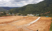 Vô tư san ủi đất, làm đường trái phép ở Đà Lạt