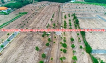Bà Rịa- Vũng Tàu: Sắp có quyết định mới về tách thửa đất để chặn phân lô bán nền