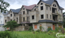 Biệt thự chục tỉ bỏ hoang giữa tâm sốt đất