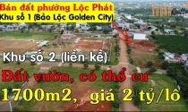 UBND Bảo Lộc: Chỉ có 6 dự án bất động sản, còn lại là “dự án ma”