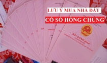 Những lưu ý khi mua bán nhà đất có sổ hồng chung