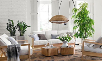 Giải nhiệt ngày hè nóng nực với không gian nhà đẹp thoáng mát